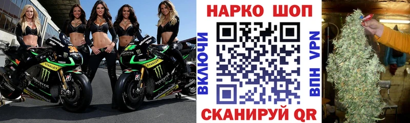 APVP Волгореченск