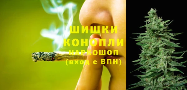 стаф Богородицк