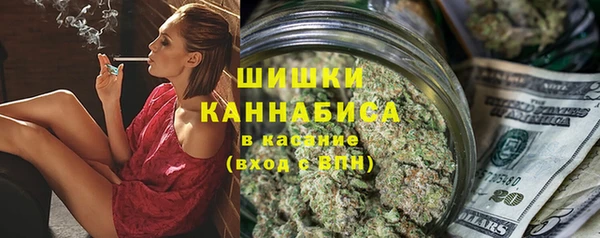 стаф Богородицк