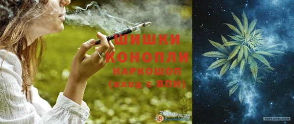 стаф Богородицк